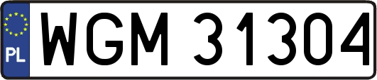 WGM31304