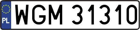 WGM31310