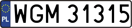 WGM31315