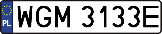 WGM3133E