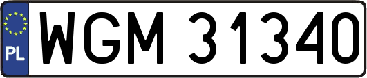 WGM31340