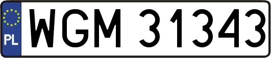 WGM31343