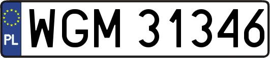 WGM31346