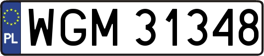 WGM31348