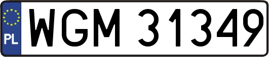 WGM31349