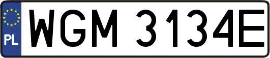 WGM3134E