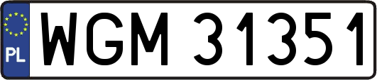 WGM31351