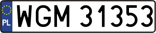 WGM31353