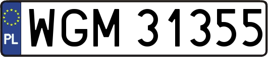 WGM31355