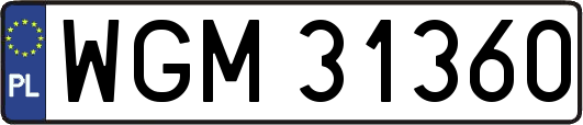 WGM31360