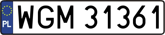 WGM31361