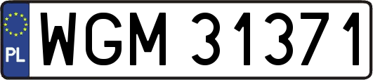 WGM31371