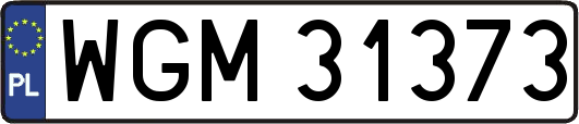 WGM31373