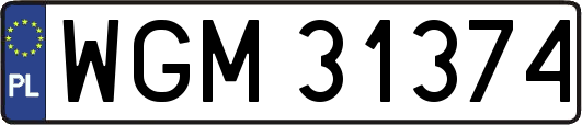 WGM31374