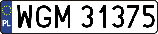 WGM31375