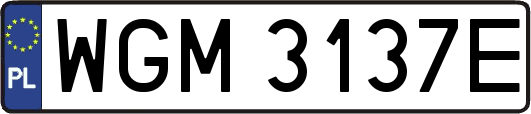 WGM3137E