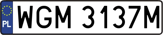 WGM3137M