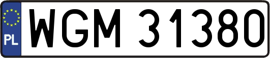 WGM31380