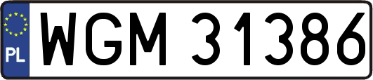 WGM31386