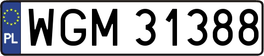 WGM31388