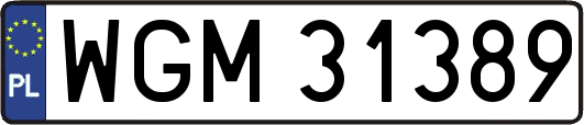 WGM31389