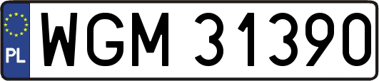 WGM31390