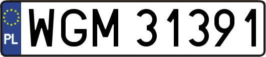 WGM31391