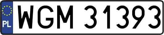 WGM31393