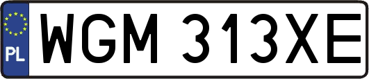 WGM313XE