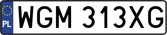 WGM313XG