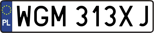 WGM313XJ
