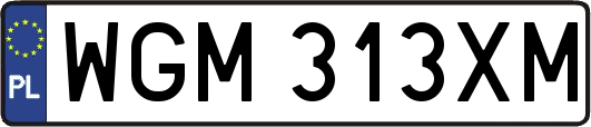 WGM313XM