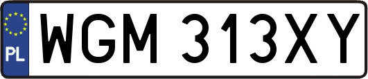 WGM313XY