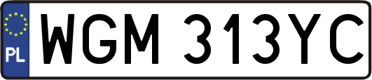 WGM313YC