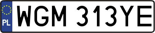 WGM313YE