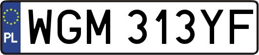 WGM313YF