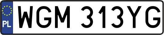 WGM313YG