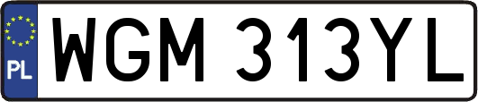 WGM313YL