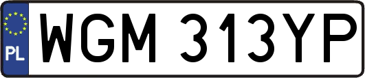 WGM313YP