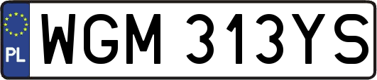 WGM313YS