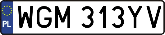 WGM313YV