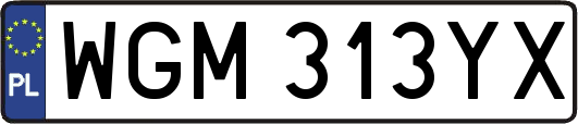 WGM313YX