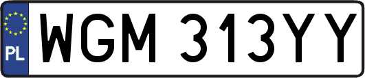 WGM313YY