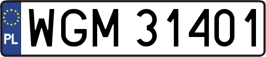 WGM31401