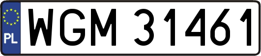 WGM31461
