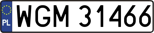 WGM31466