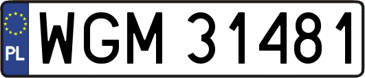 WGM31481
