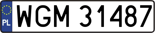 WGM31487