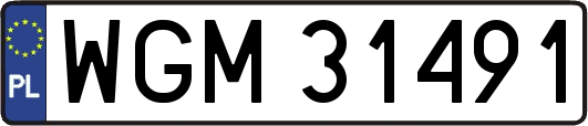 WGM31491