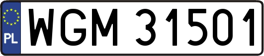 WGM31501